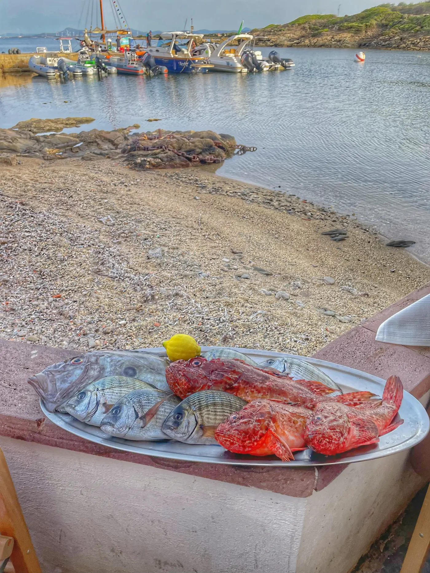 Pêche du jour